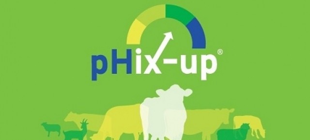Efecto de la suplementación con pHix-up, Informe del Estudio