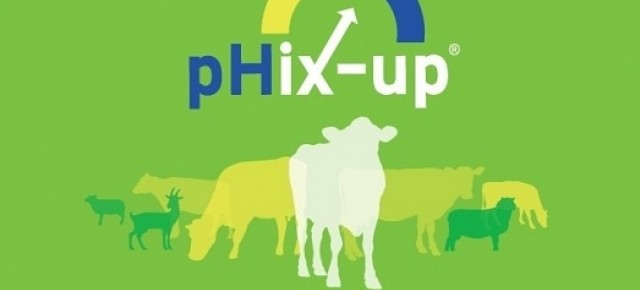 pHix-up, Exclusivo de Texter Feed