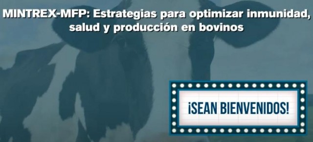MINTREX-MFP: Estrategias para optimizar inmunidad, salud y producción en bovinos.