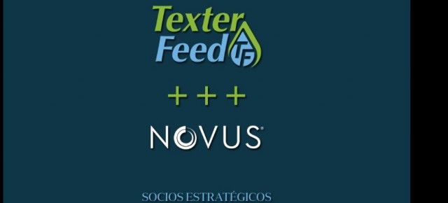 Novus - Texter Feed socios Estratégicos