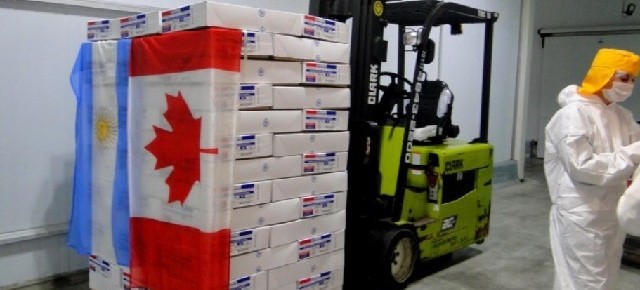 CALISA logró la primera exportación argentina de pollos a Canadá